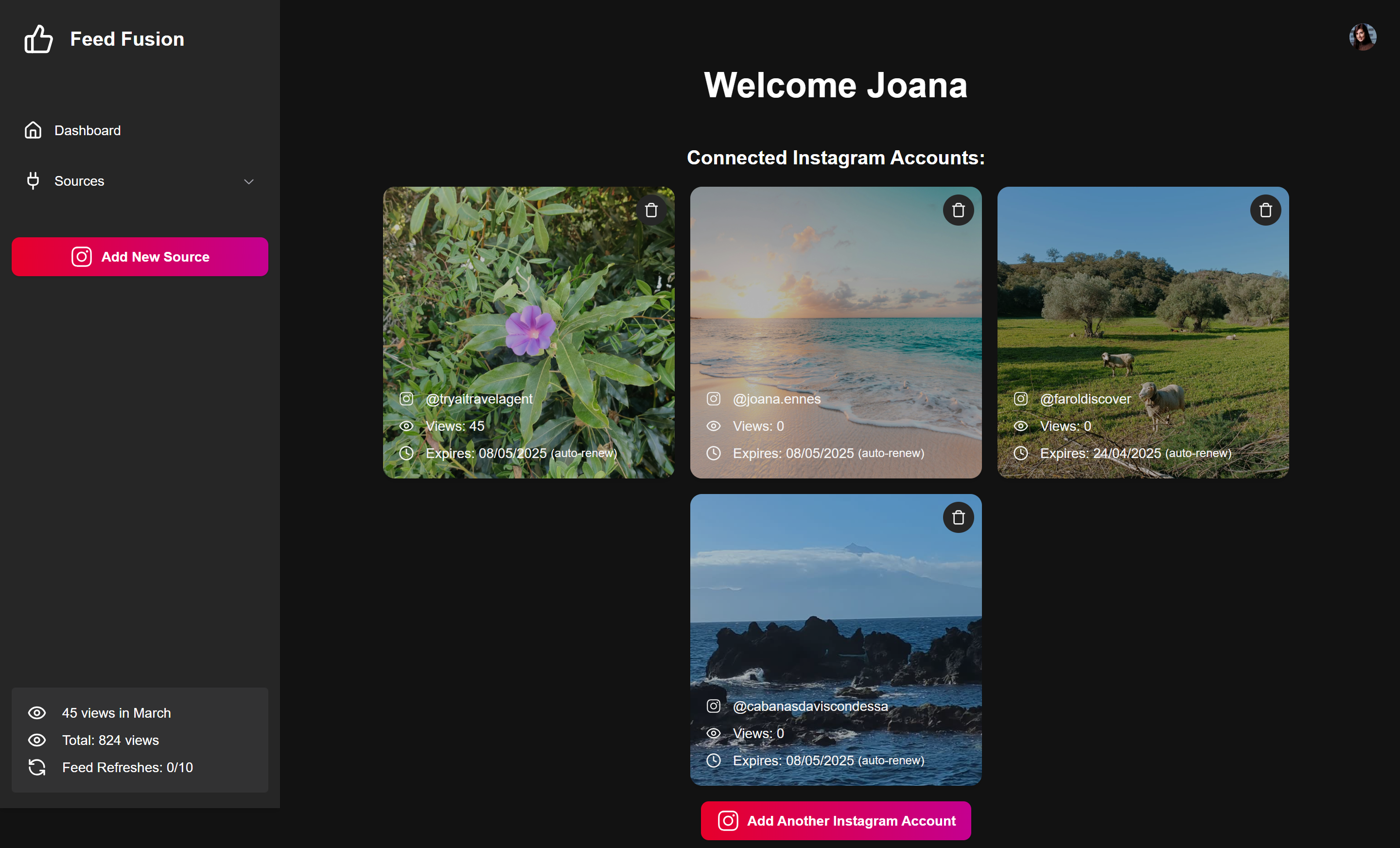 Demo view of Instagram feed on website