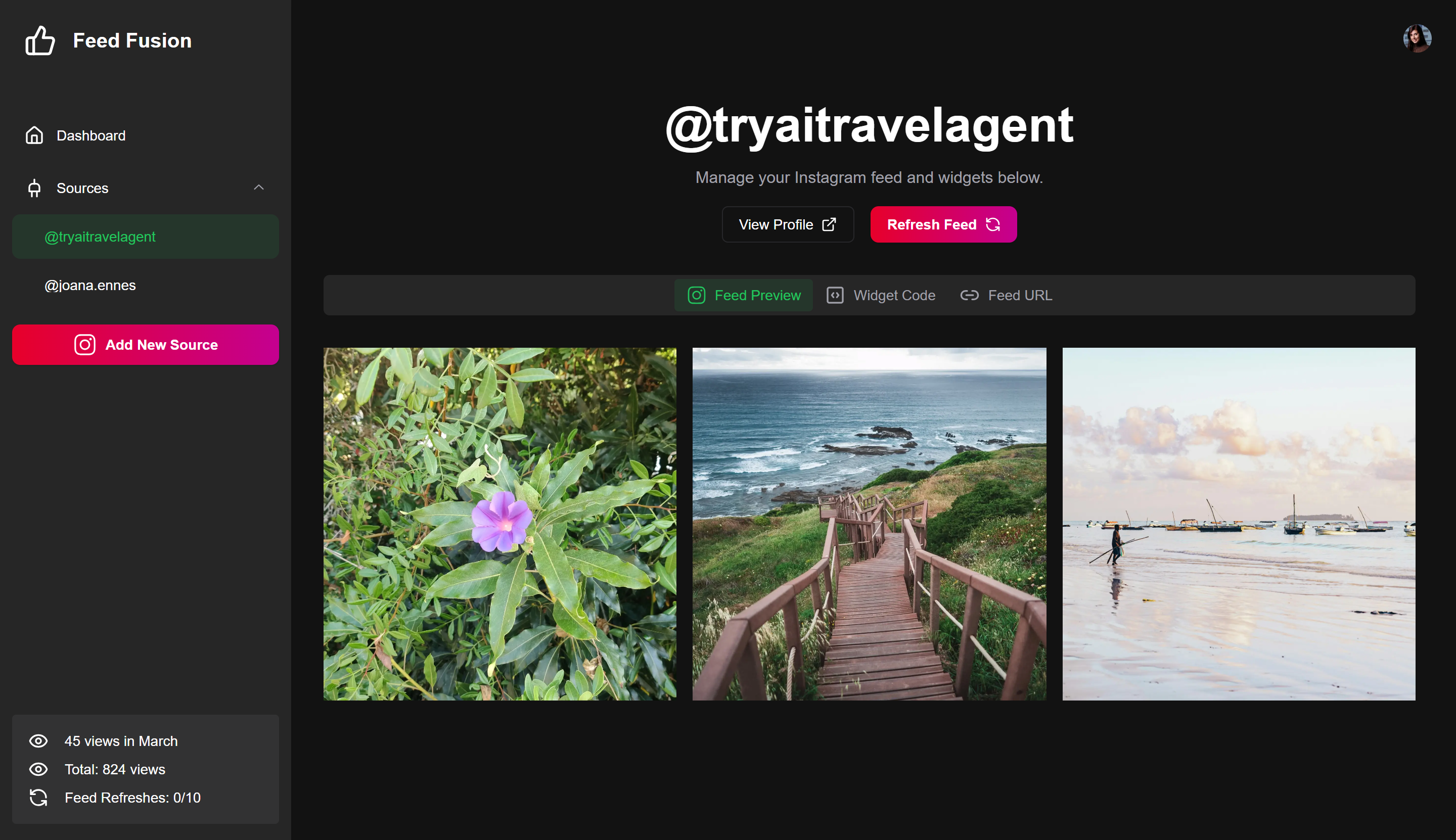 Demo view of Instagram feed on website